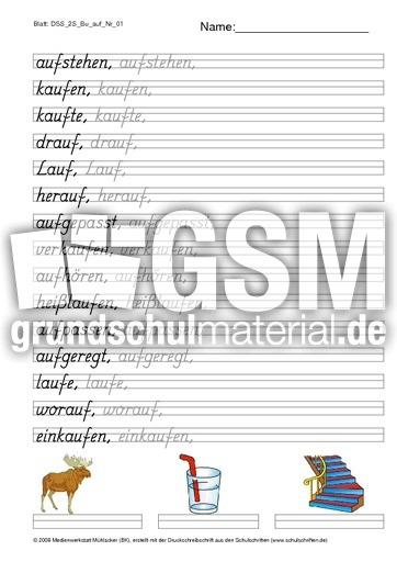 DSS_2S_Bu_auf_Nr_01.pdf